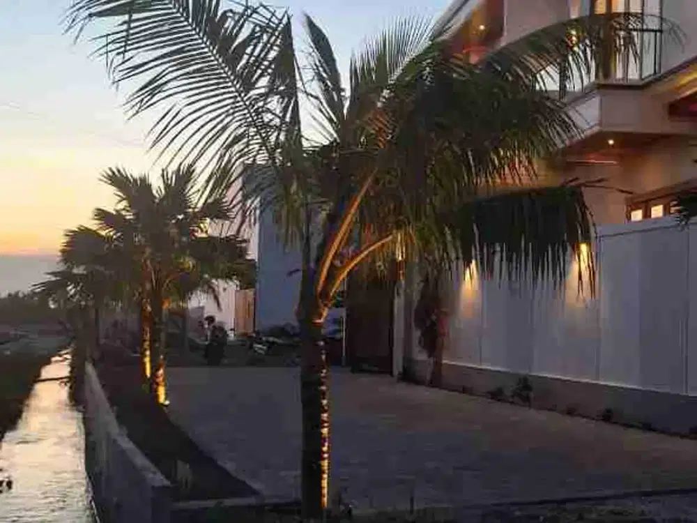 Brand New Luxury Villa 3 Bedrooms View Sawah Munggu Bali