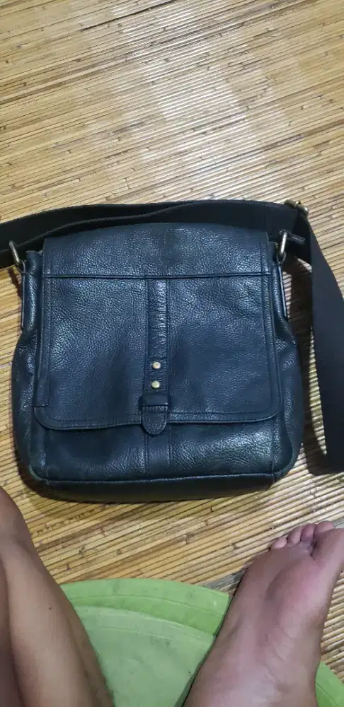 Tas kulit fossil