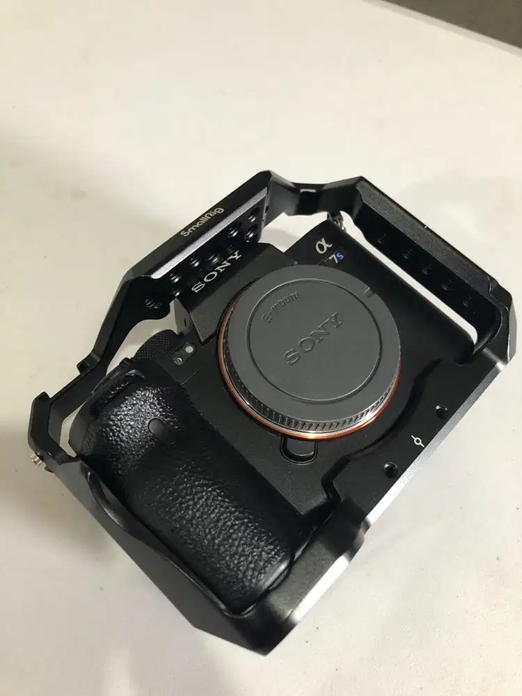 a7siii near mint