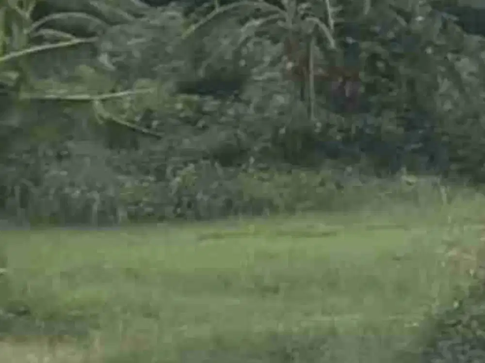 Dijual Tanah Perumahan Siap Bangun Mijen Semarang