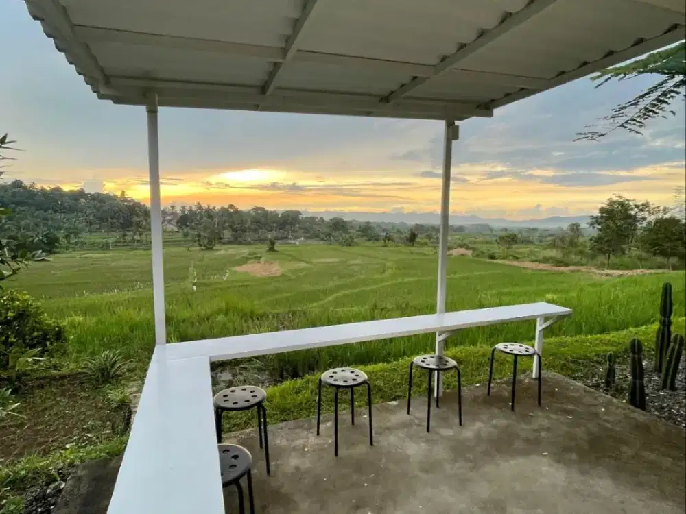 DIJUAL CEPAT (BU) AREA USAHA + VILLA + SAWAH PRODUKTIF COCOK UNTUK INVESTASI & WISATA ALAM DI TENJOLAYA BOGOR