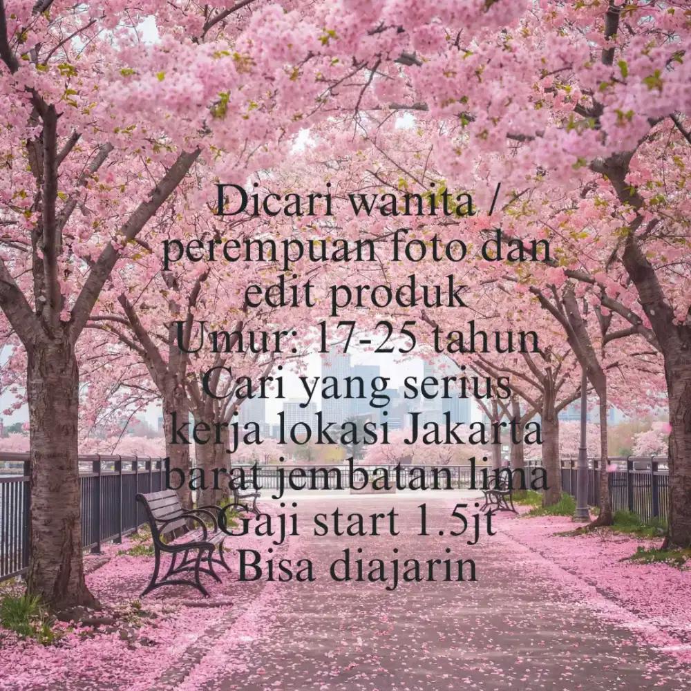 Admin olshop untuk wanita