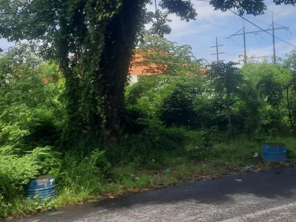 Dijual tanah muding indah Kerobokan, badung