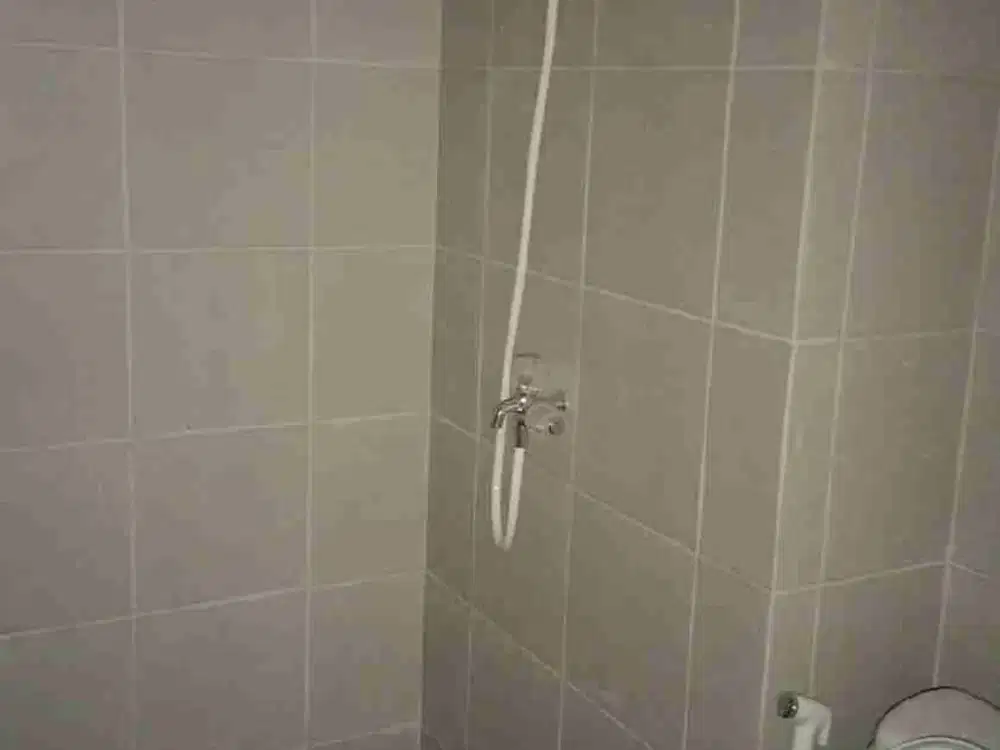 SEWA RUKO BARU LUAS KHUSUS BESAR ALESANDRO APARTMEN VITTORIO WIYUNG