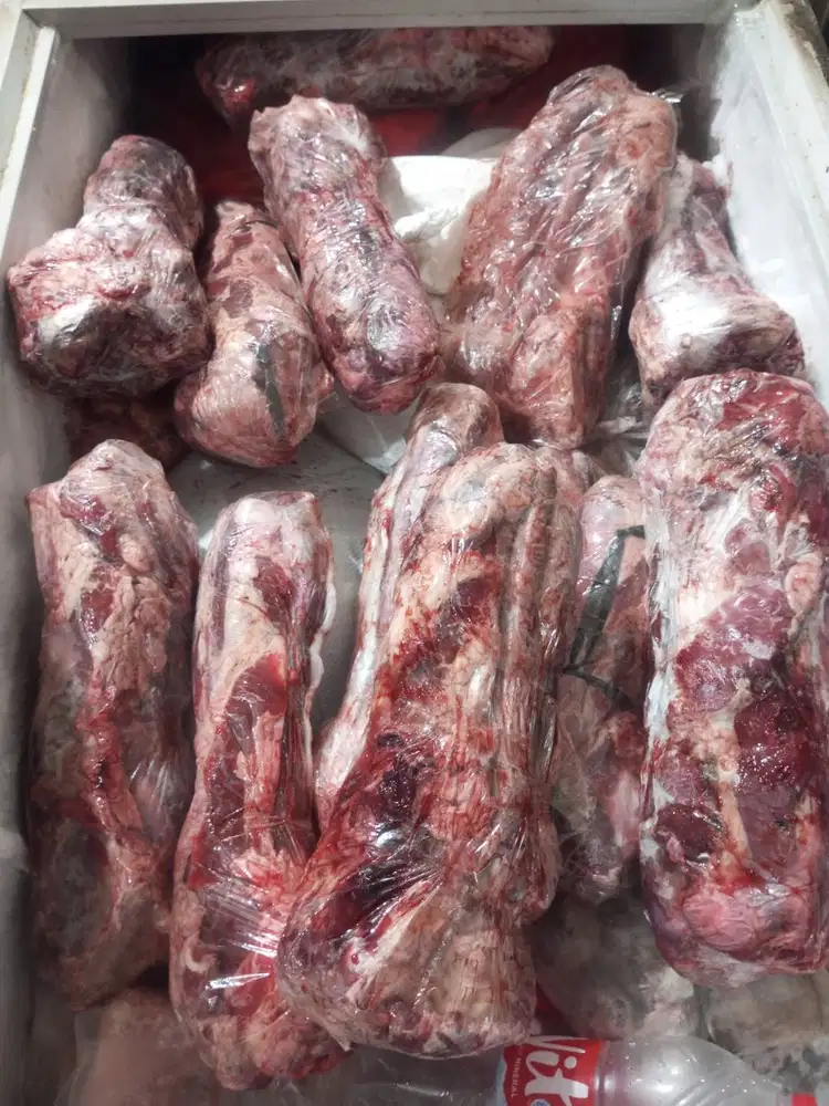 Buntut sapi lokal SOP buntut sapi