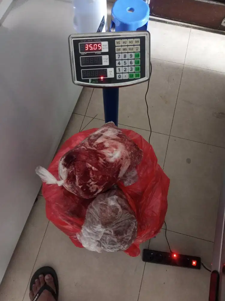 Makanan anjing murah daging