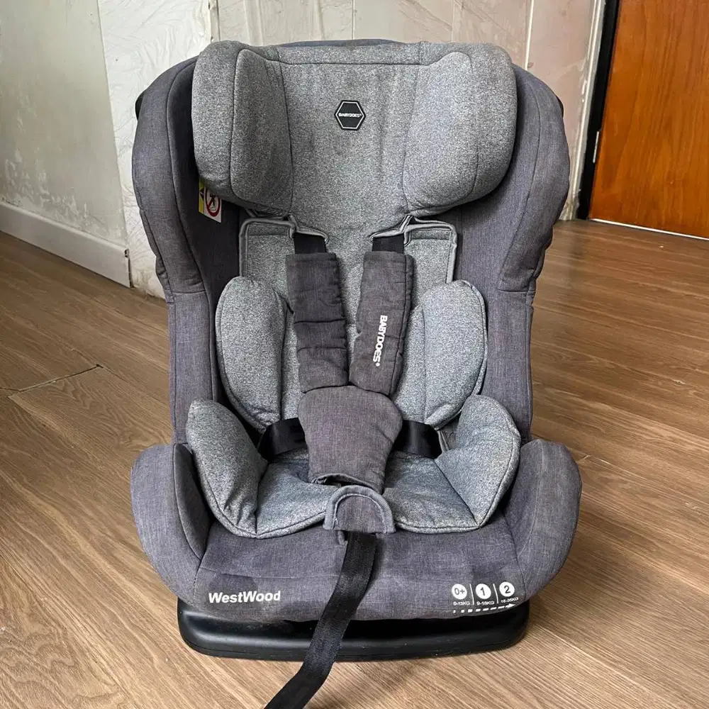 carseat babydoes