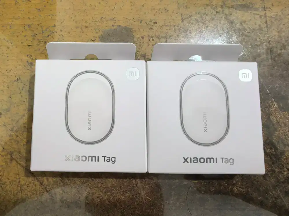 Xiaomi Tag seri M2543T1