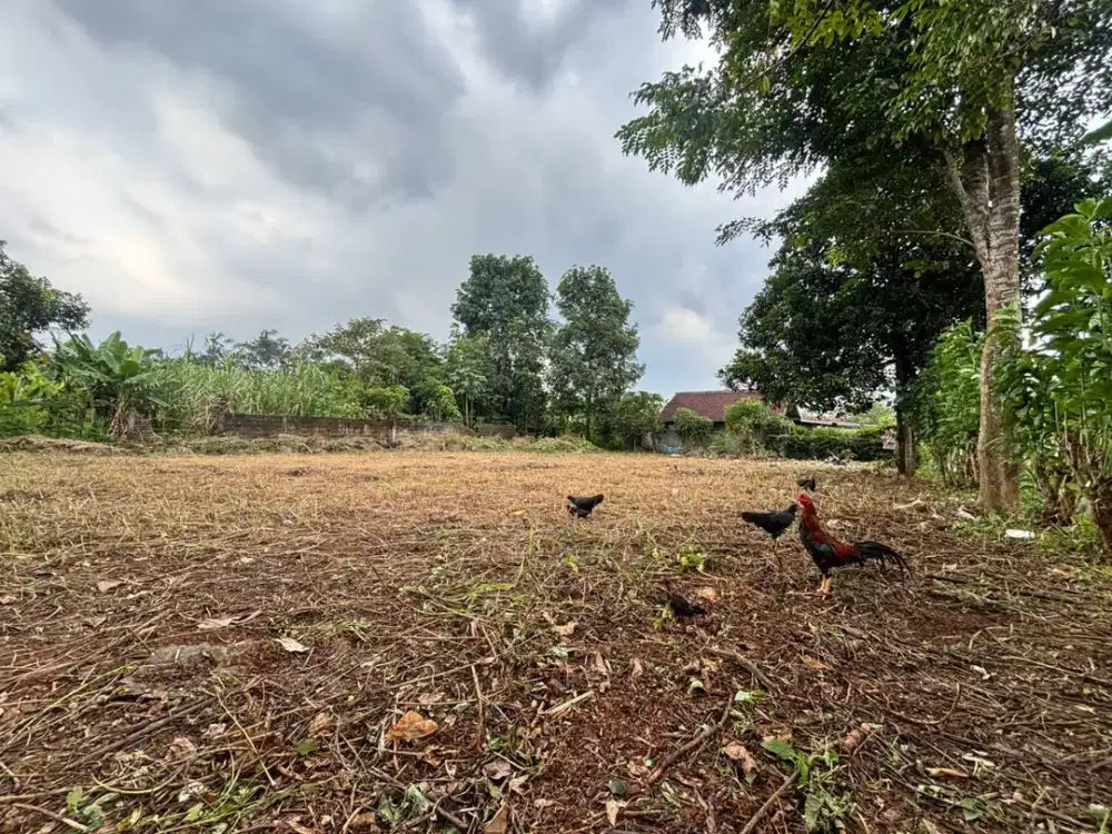 200 Meter Alun-Alun Legok, Kavling Murah 1 Jt-an Tangerang. SHM