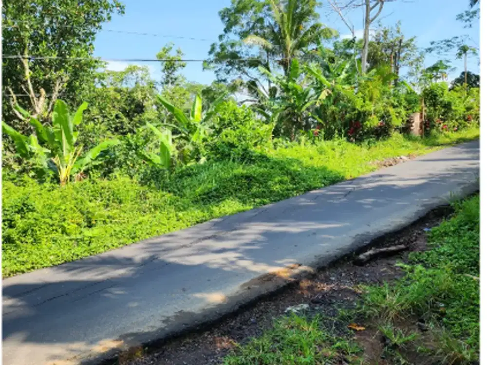 Tanah 6 Are di Tegalalang Ubud - Thumbnail 4