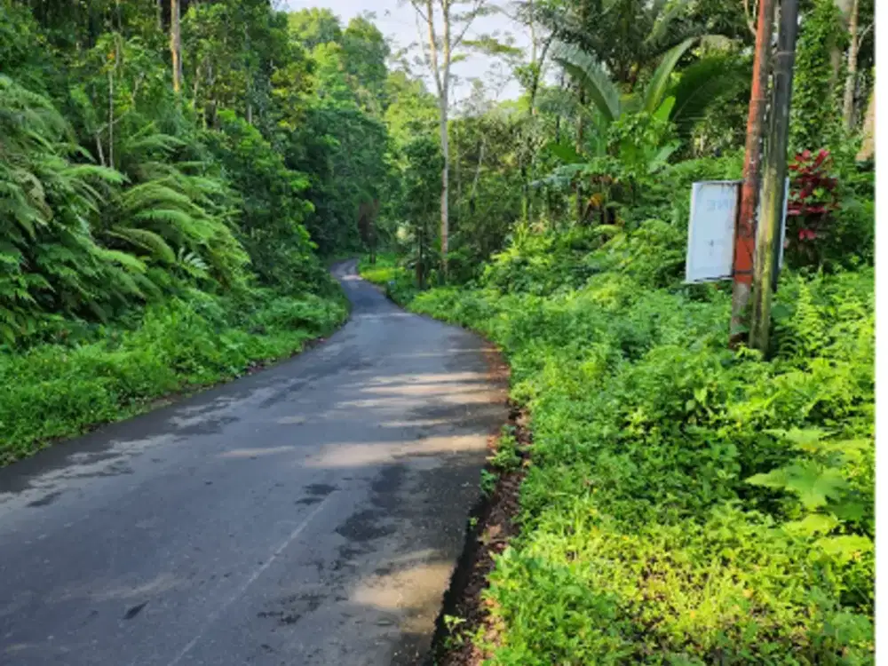 Tanah 6 Are di Tegalalang Ubud - Thumbnail 3