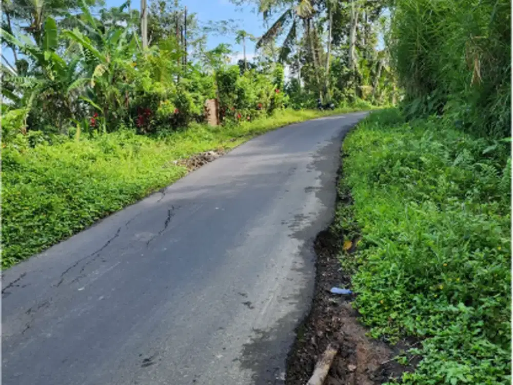 Tanah 6 Are di Tegalalang Ubud