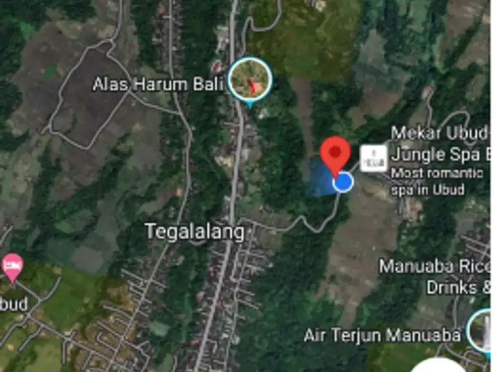 Tanah 6 Are di Tegalalang Ubud - Thumbnail 8