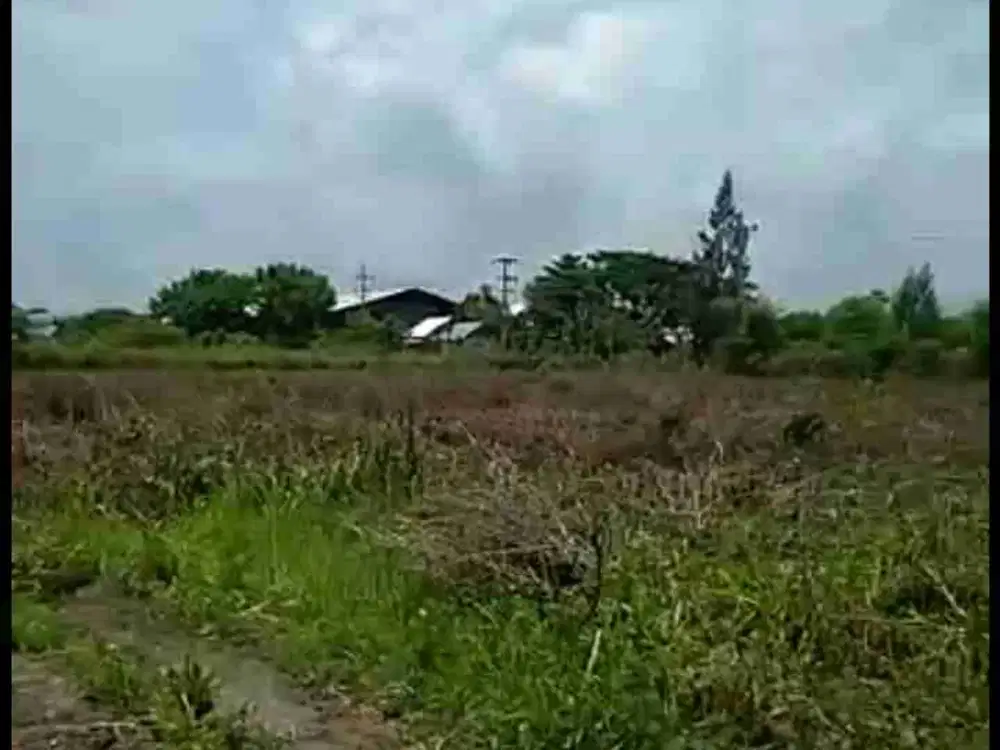 JUAL TANAH JL NASIONAL MRUTUK WIDANG TUBAN