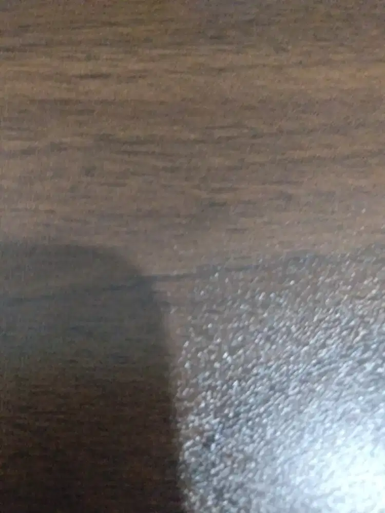 Lowongan kerja Host Live