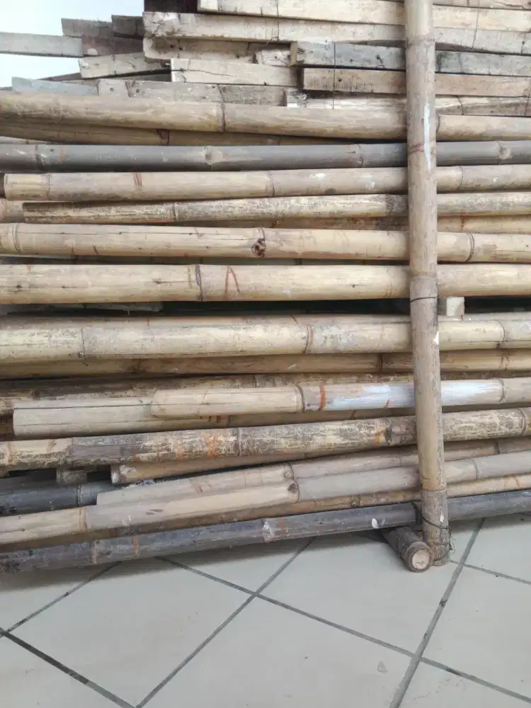 Bambu bekas 6 meter