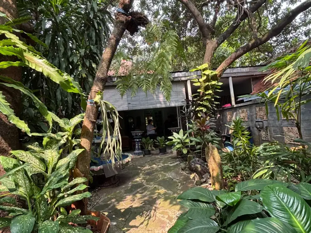 Prime Land Menteng! Rumah Tua SHM LT 639m² Harga Turun 85 Juta/m²