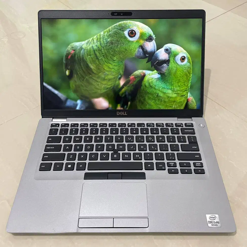 DELL Core i5-10310U GEN 10 RAM 8GB / SSD 256GB IPS (1920x1080) Laptop