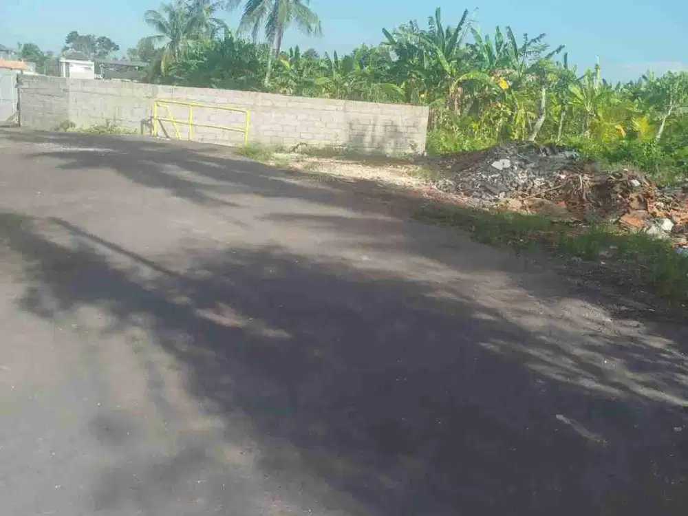 JUAL CEPAT Tanah Harga Global Luas 200m² Lokasi Jl Gajah Sura Denpasar Utara