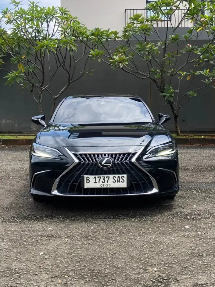 Lexus Es300h Ultra Luxury Tss At 2023