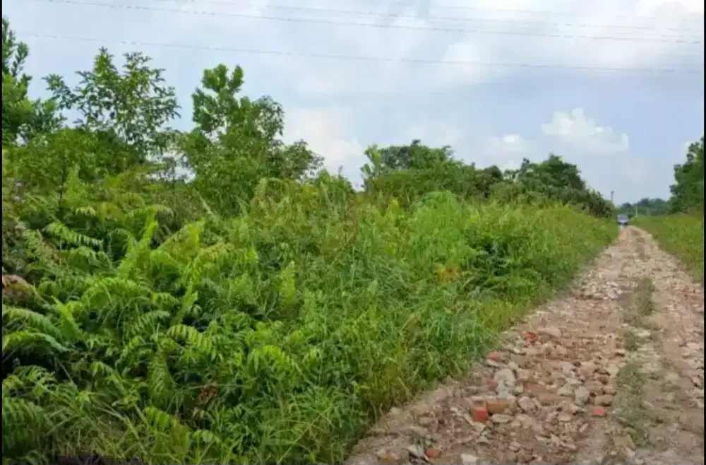 Dijual cepat tanah di Jl. Riau Baru