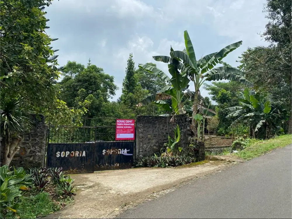 DIJUAL TANAH KEBUN LUAS 12.000 M2