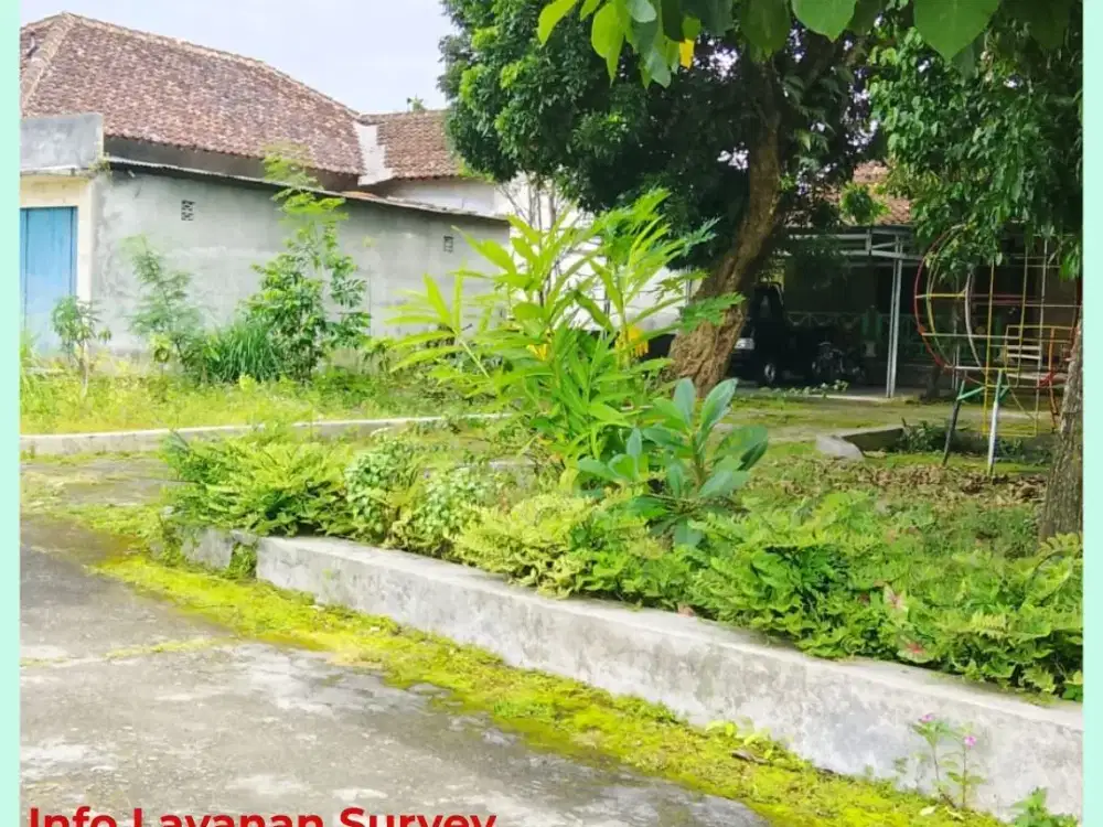 Tanah Jogja 200 Jutaan Area Jl Palagan km 11 Rejodani SHM