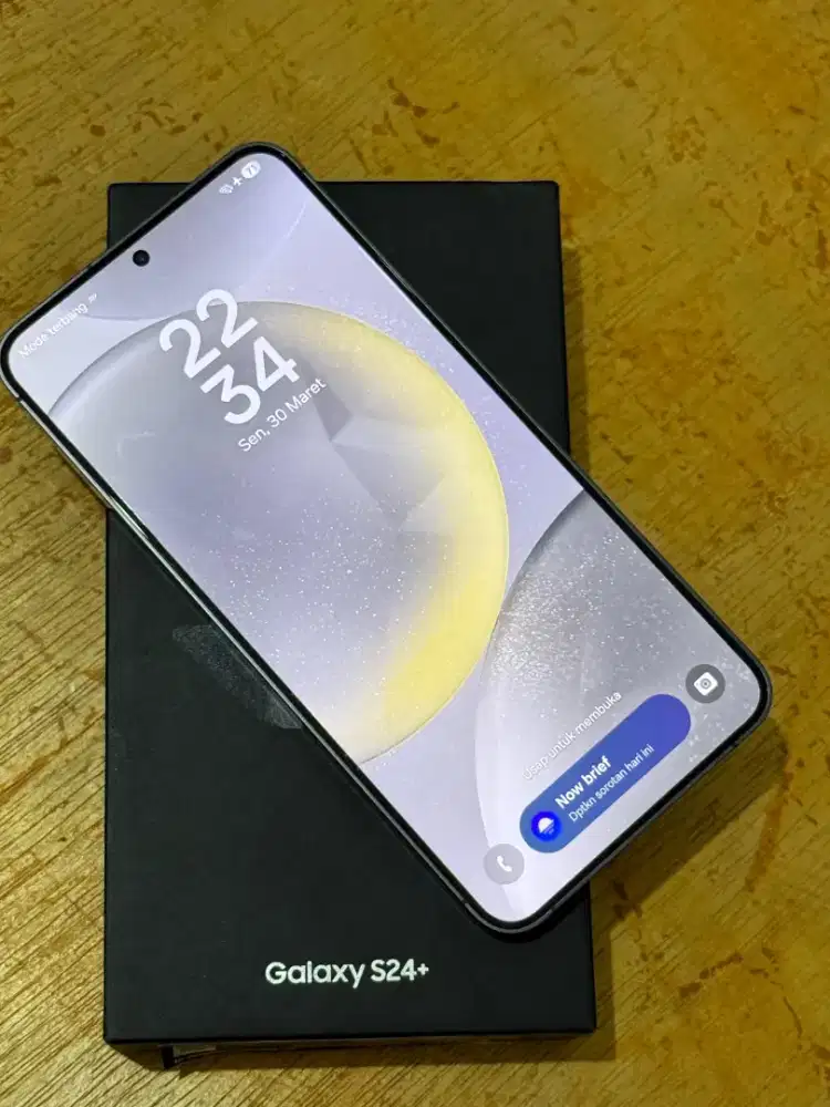 Samsung S24 Plus 12/256 Mulus