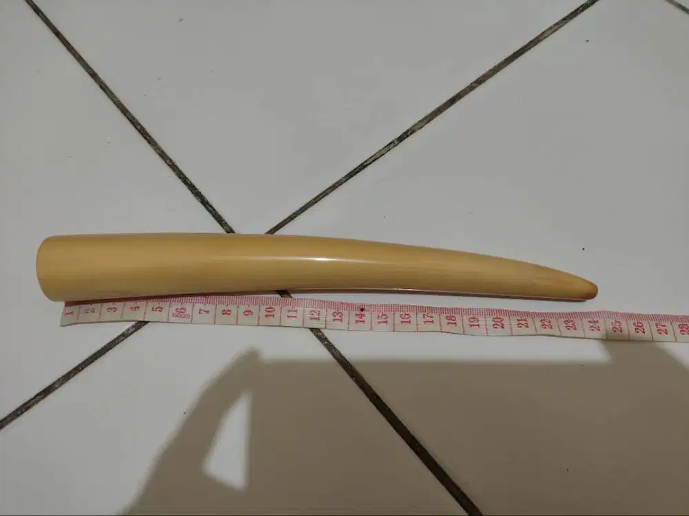 pipa besar dan berkharisma