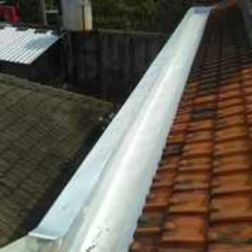 Perbaikan Atap Bocor,Talang Air,Dak Rembes dan Renovasi