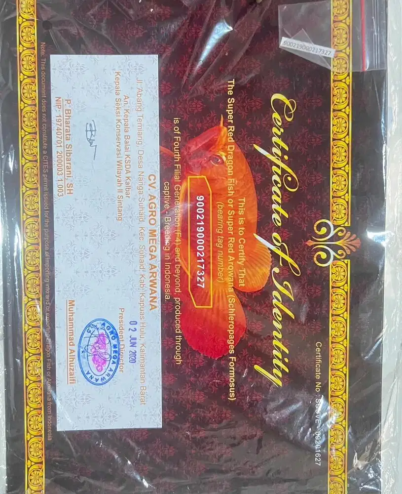 Sertifikat & chip arwana super red / SR , sertifikat&  chip golden red