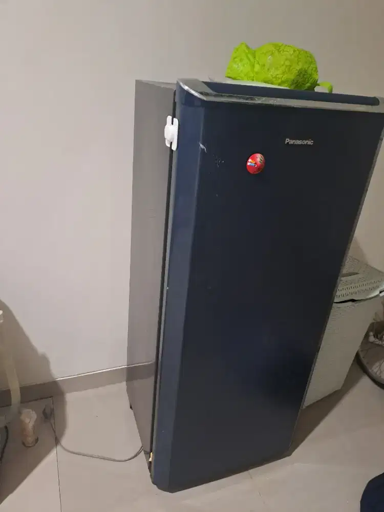 Kulkas Panasonic 1 Pintu