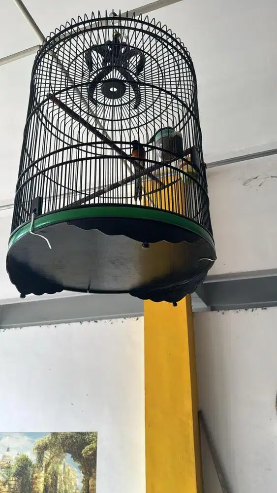 Murai Medan & Anis Kembang