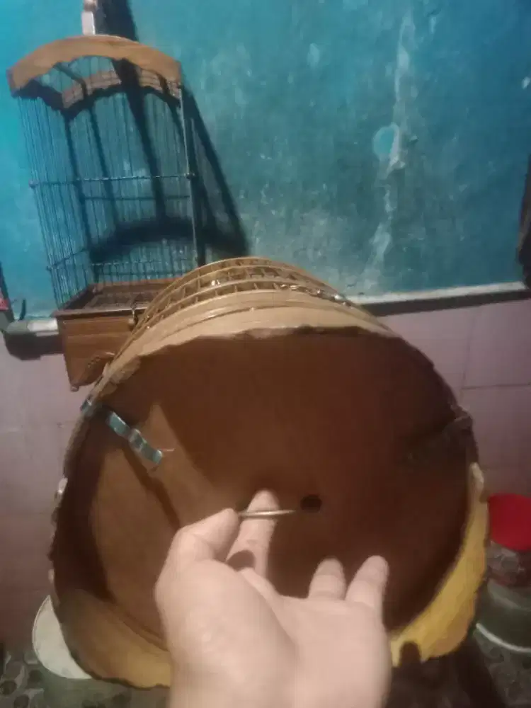 Sangkar kurung pleci