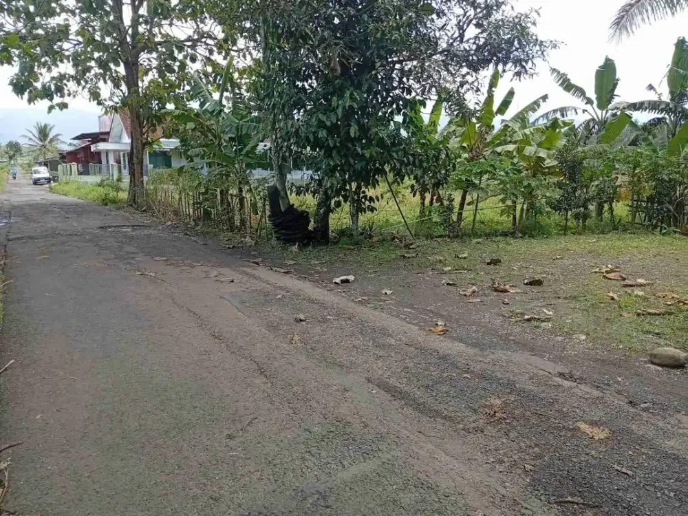 Tanah Kosong Nuansa pedesaan dekat kecamatan Kertanegara Purbalingga