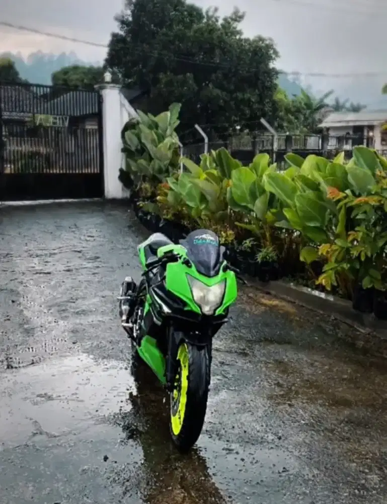 Kawasaki ninja mono rr 250cc
