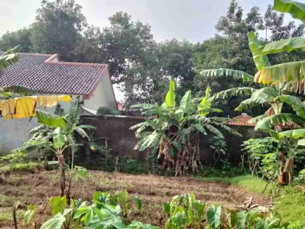 tanah kavling dekat campus