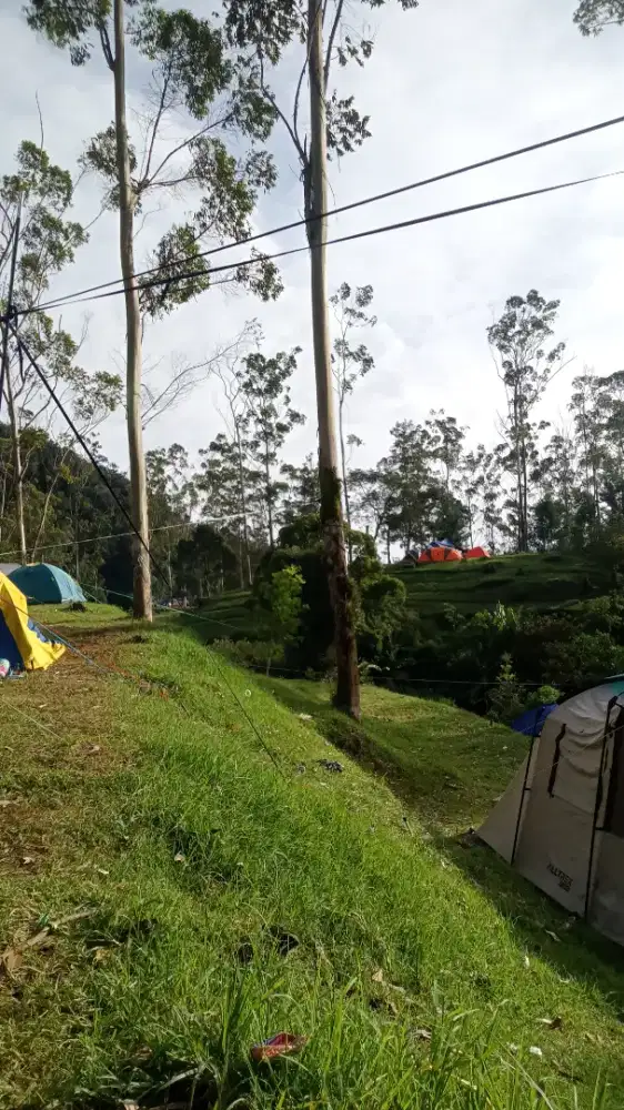 bapak/ibu bos, siapa tau ada yg membutuhkan karyawan saya siap