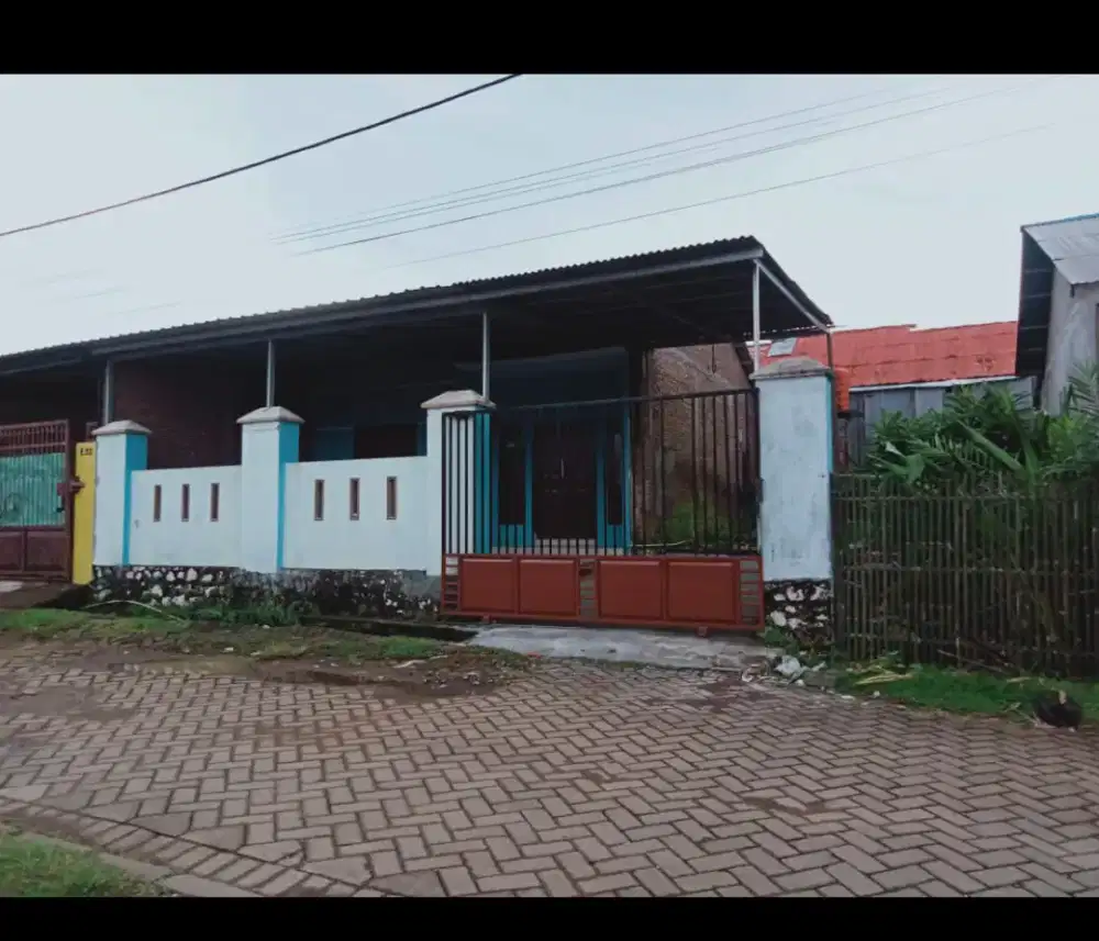 Dikontrakan Rumah Tahunan