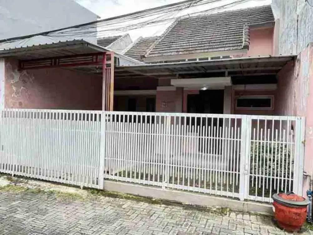 Disewakan Rumah Di Jalan Ikan-Ikan Blimbing Kota Malang Dekat Araya
