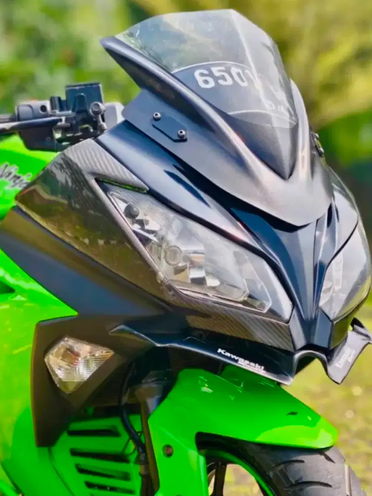 Kawasaki ninja 250 2013