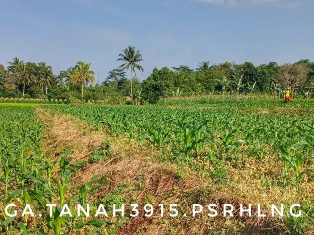 Dijual tanah luas matang pinggir jalan lokasi strategis dekat jalan nasional.