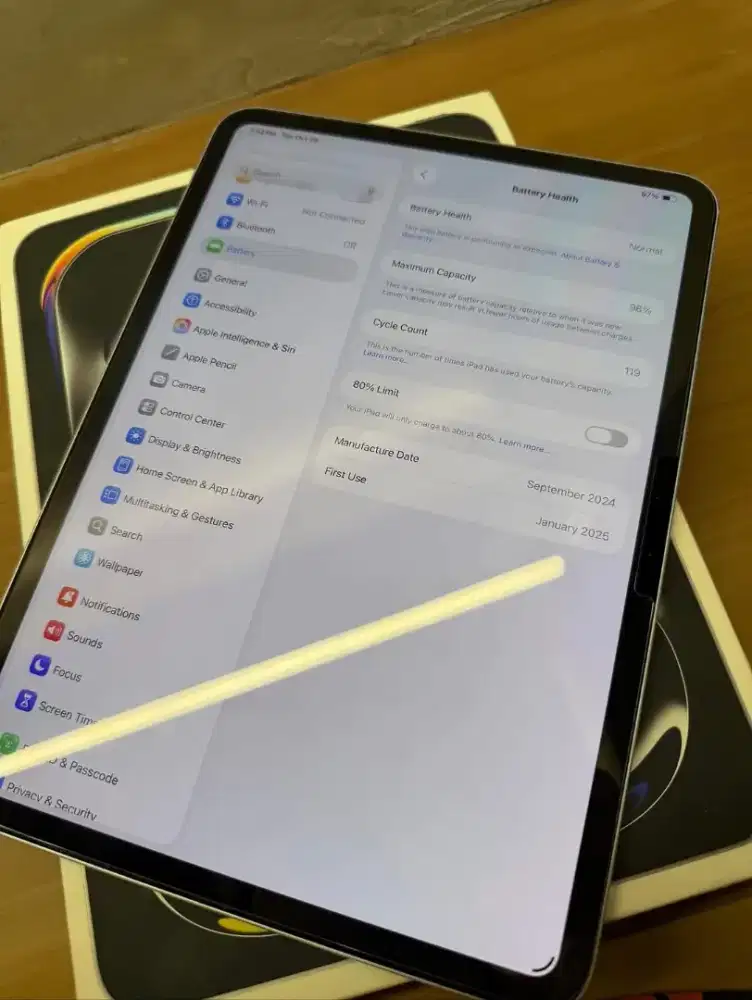 ipad pro m4 wifi 256gb (2024)