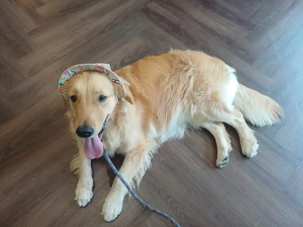 DIBUTUHKAN SEGERA: ART MENGINAP