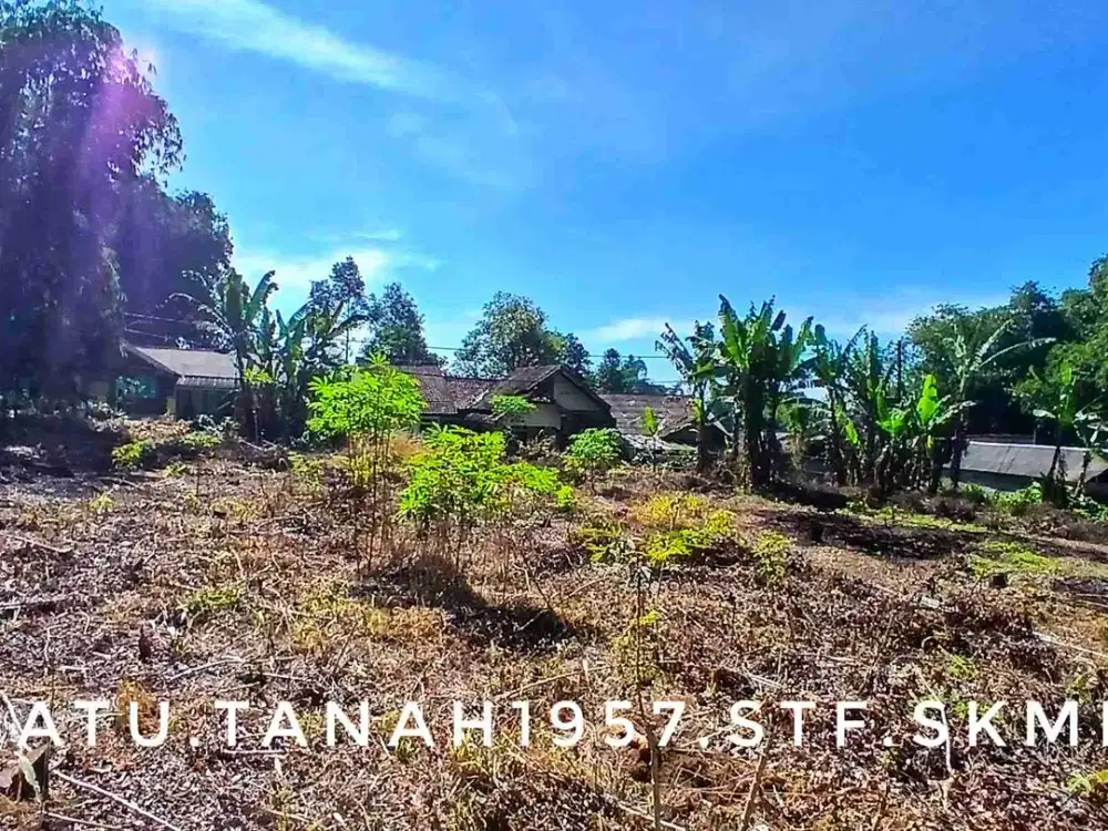 Dijual tanah kebun pinggir jalan strategis subur lingkungan asri