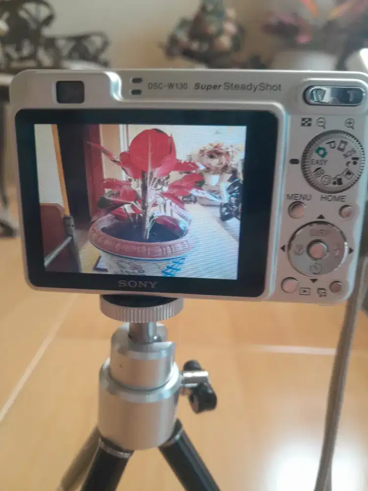 Sony . (Pocket Digital) DSC-W130