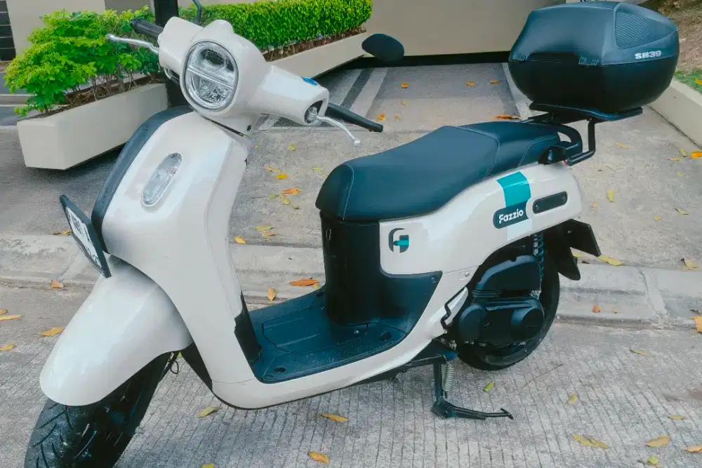 Fazzio Mulus Jarang Pakai