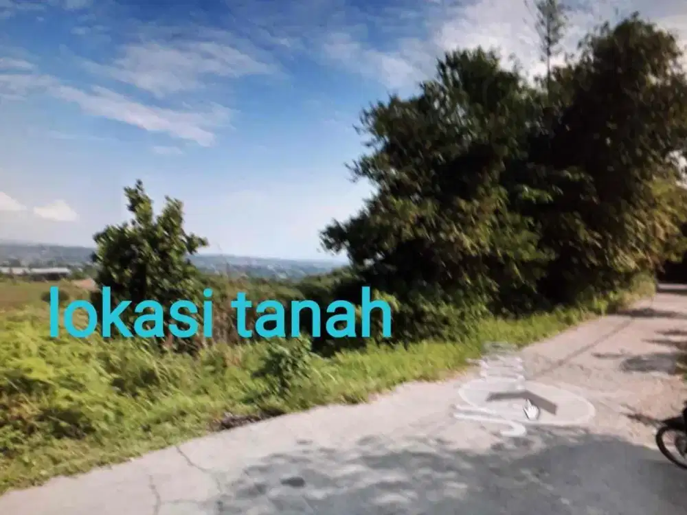 Disewakan Lahan Tanah Bagus Untuk Perkebunan & Hidroponik Cocok untuk Investasi di Gunung Geulis Megamendung Bogor