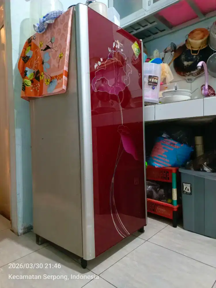 Kulkas polytron 1 pintu