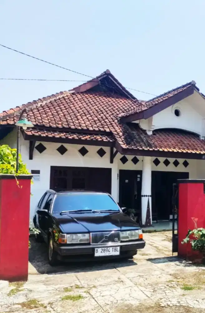 Motuba ganteng classic